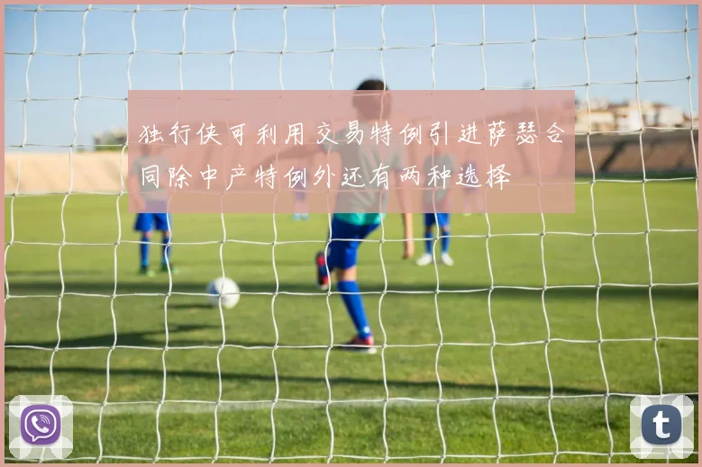独行侠可利用交易特例引进萨瑟合同除中产特例外还有两种选择