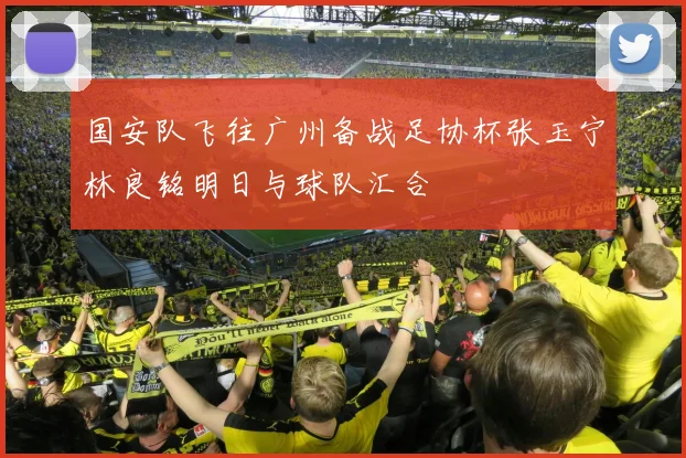 国安队飞往广州备战足协杯张玉宁林良铭明日与球队汇合