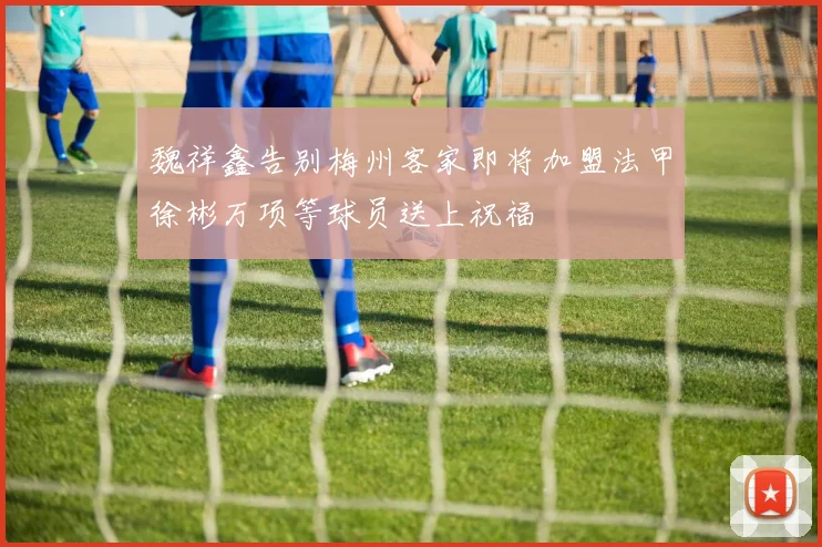 魏祥鑫告别梅州客家即将加盟法甲徐彬万项等球员送上祝福