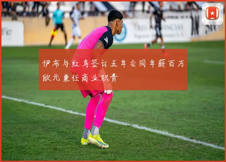 伊布与红鸟签订五年合同年薪百万欧元兼任商业职责